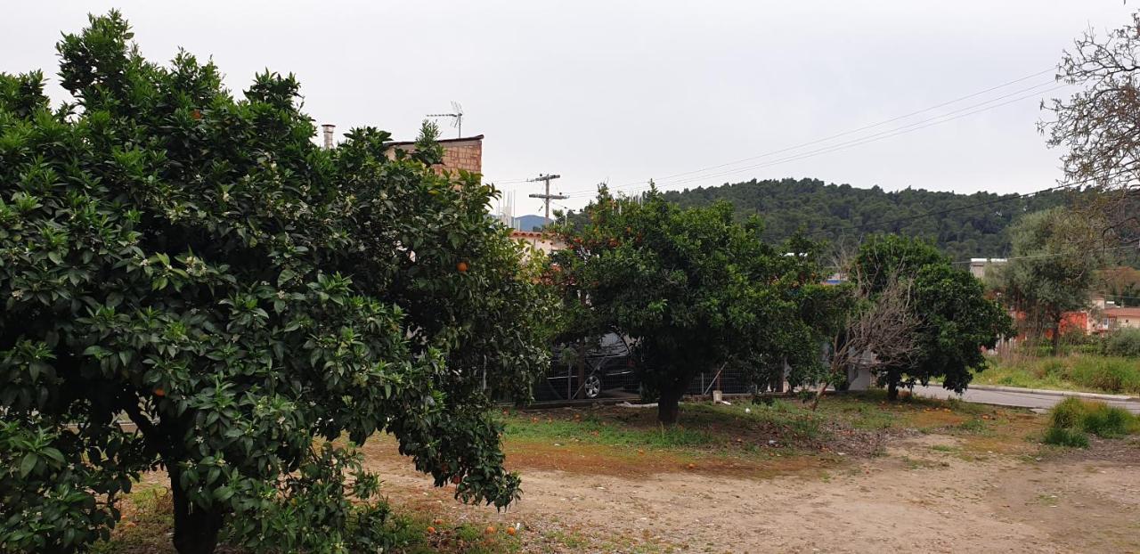 Walnut Home Apartment Near Ancient Olympia Krestena Bagian luar foto